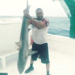 Meet your Posher, Brian